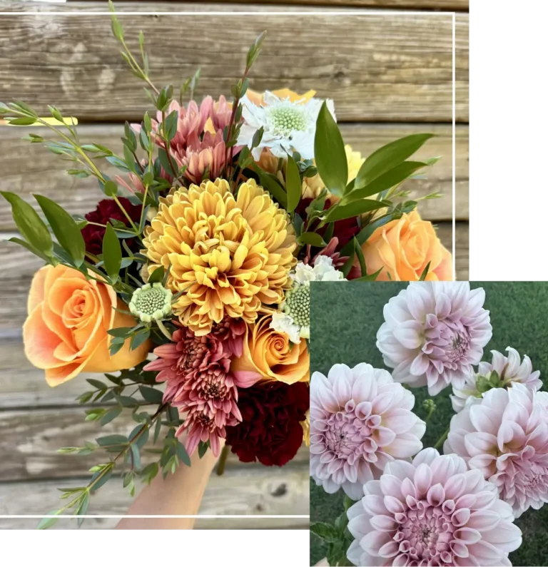 fresh local flowers