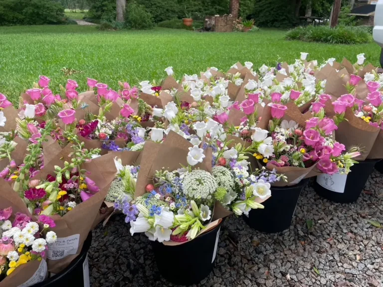 Wilmington NC, fresh flowers farm stand